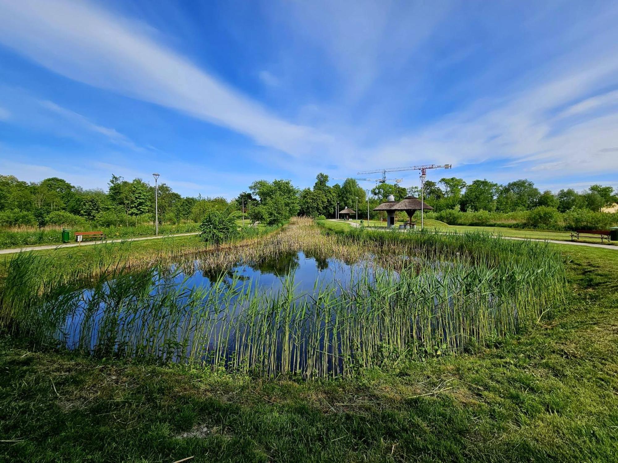 Countryside Studio Borzecin Duzy Екстер'єр фото